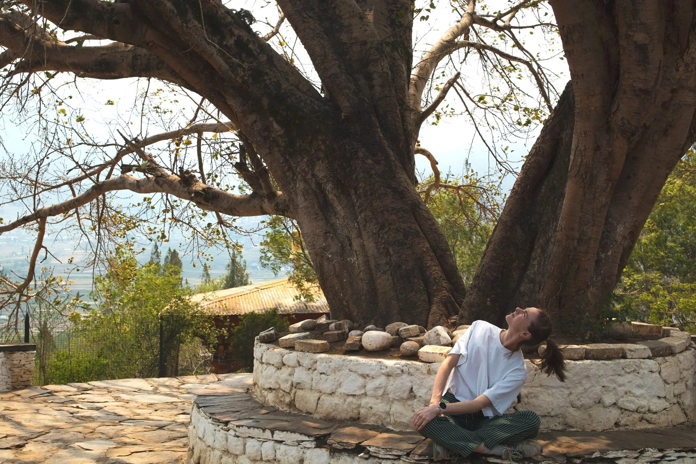 Zael sitting beneath an old tree